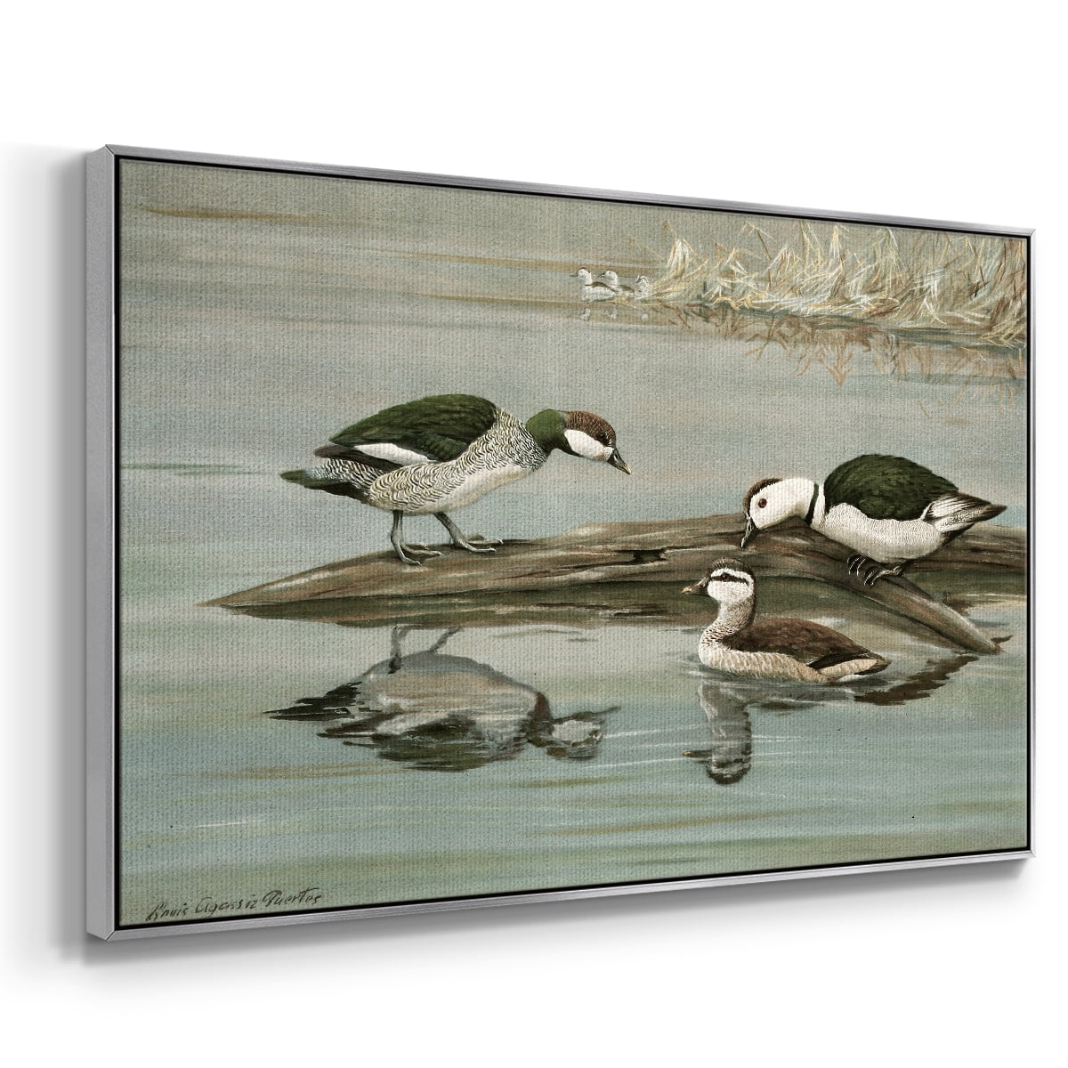 Vintage Animal Print-XIX By Wexford Home Framed in Silver Wood Gallery Wrapped Canvas 25 in. x 37 in.