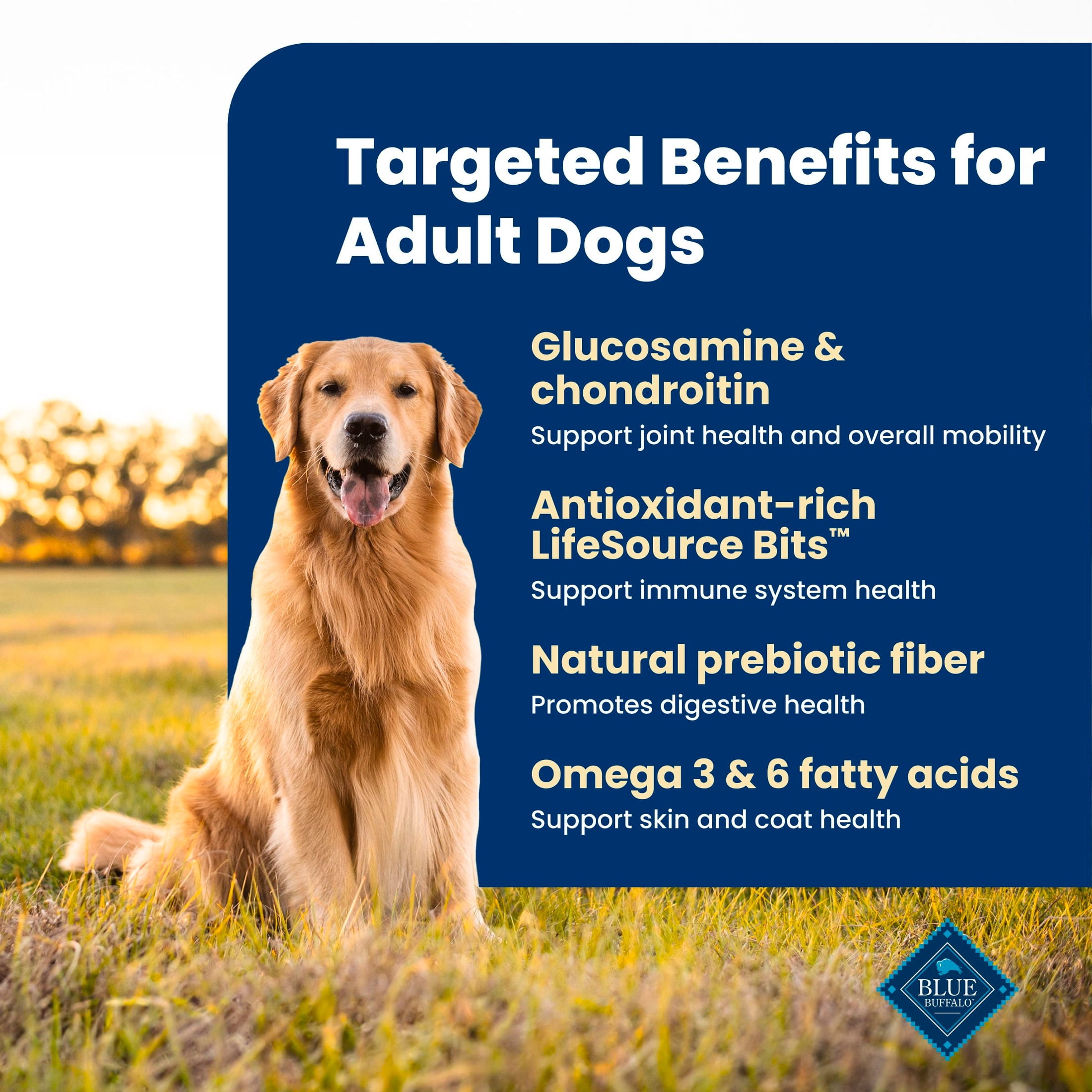 (3 pack) Blue Buffalo Life Protection Formula Adult Dry Dog Food Lamb & Brown Rice 5lb Bag