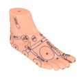 thumbnail image 4 of Feet Acupoint Model,2pcs Human Feet Acupoint Foot Acupuncture Point Model Acupuncture Foot Model Proven Performance, 4 of 7