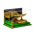 thumbnail image 1 of Deluxe Acrylic Baseball Glove Display Case with Red Risers, Mirror and Turf Base (A004-RR), 1 of 1