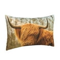 thumbnail image 2 of Balery Yak Bedding Queen Pillow Cases - Envelope Closure - Soft Brushed Microfiber Fabric - Shrinkage and Fade Resistant Pillow Cases-14"x20", 2 of 9