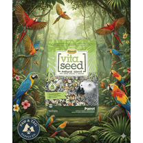 Higgins Vita Seed Parrot Food 3 lbs. Premium Seed Blend w/ Probiotics & DHA Omega-3