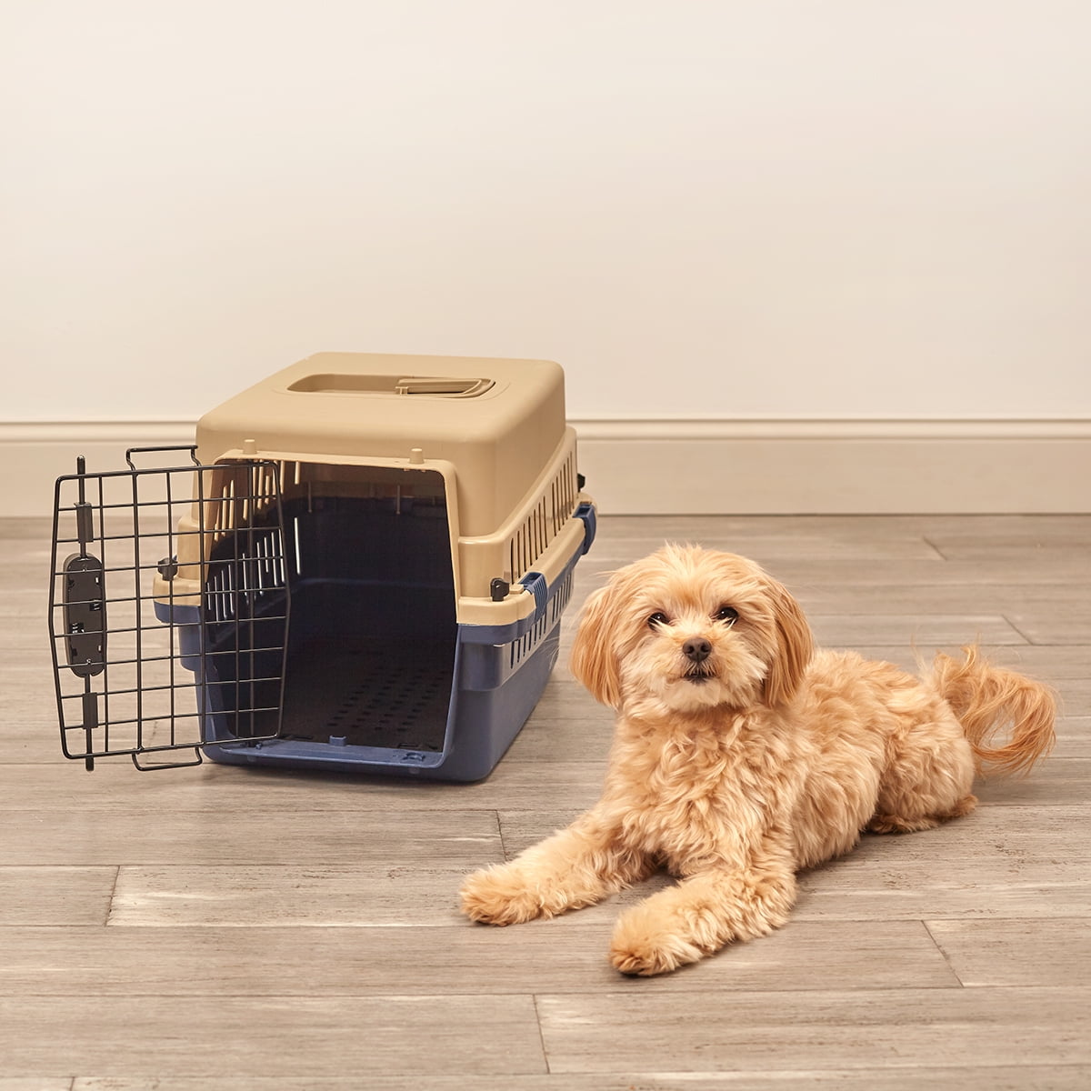 Pet Sentinel Plastic Dog Crate, Small, 12.60"L x 13.40"W x 19.70"H