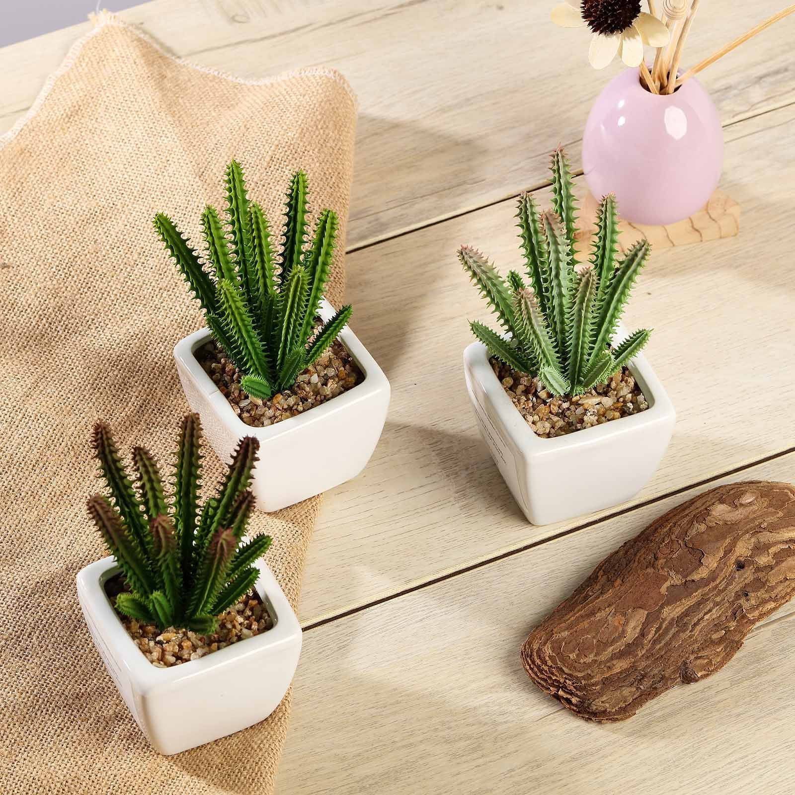 Details about   3 5" Assorted Green Faux Succulent Cactus Plants with Off White Ceramic Pots 