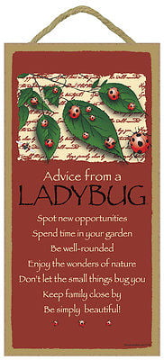 ADVICE FROM A BUTTERFLY Primitive Wood Hanging Sign 5" x 10" 