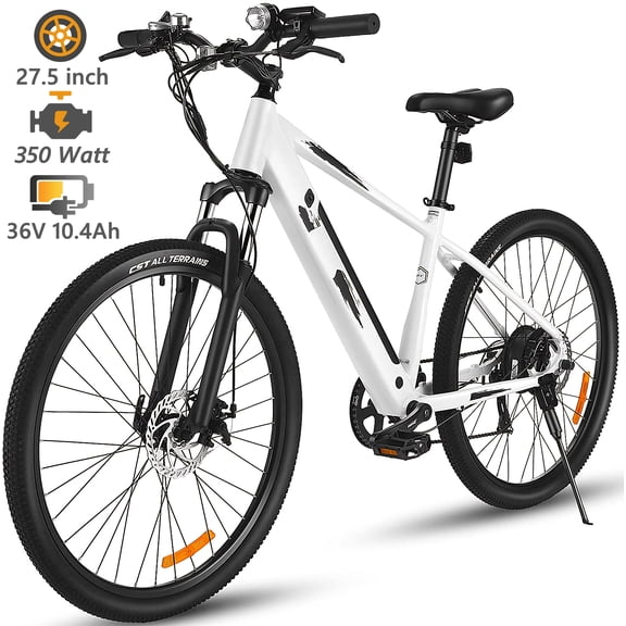Electric Bikes