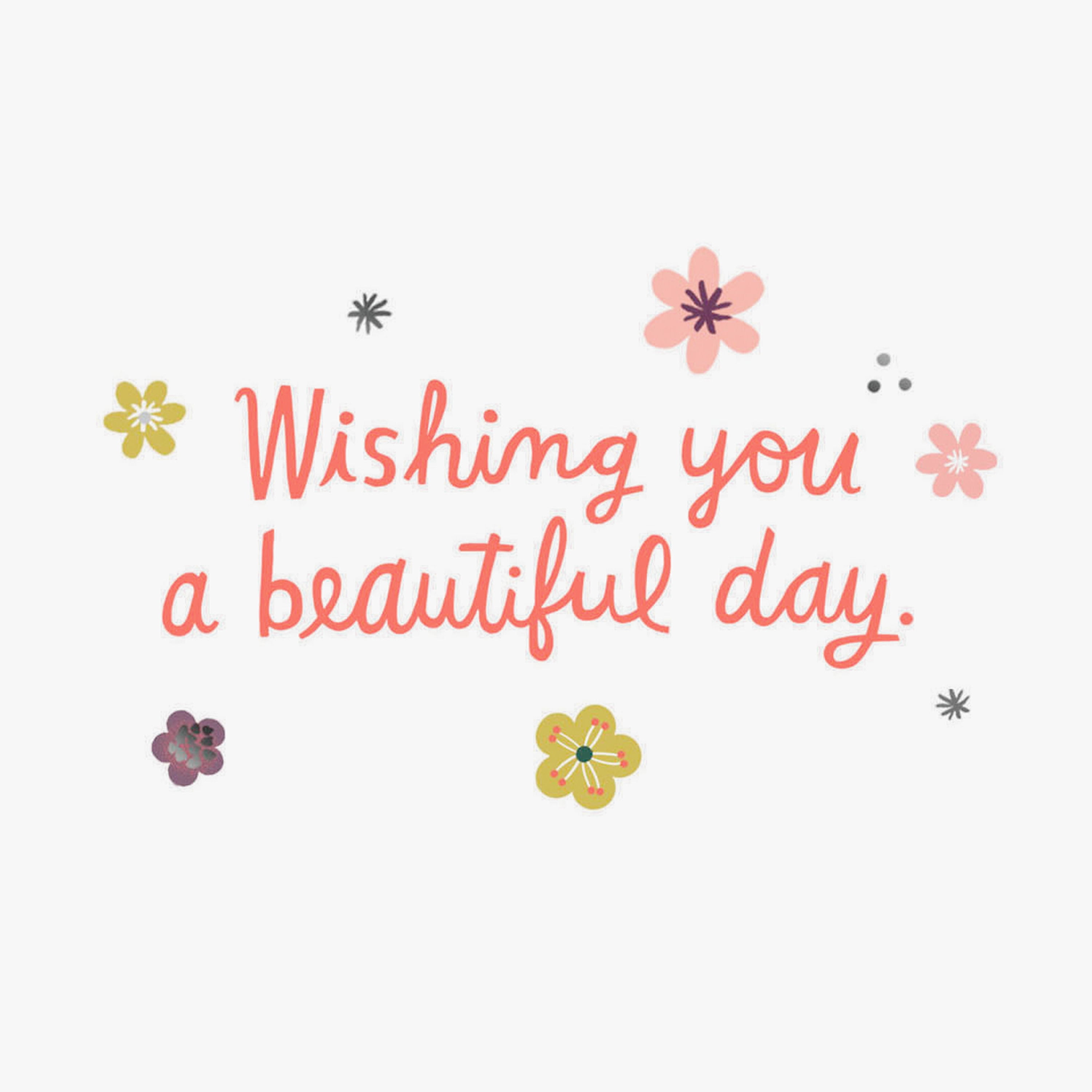 Hallmark Just Because Friendship Card (Flowers and Butterflies)