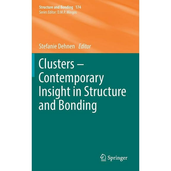 Structure and Bonding Clusters - Contemporary Insight in Structure and Bonding, Book 174, (Hardcover)