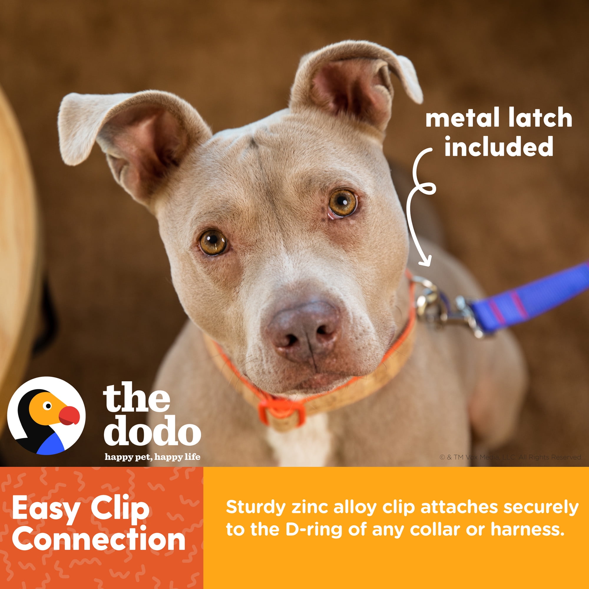 The Dodo Strain-Relieving, Bungee Dog Leash with Secondary Handle, 48” Blue