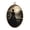 Color 1, variant on Oval Framed Wall Art Gothic Black Crow Raven Rose Dark Romance Cottagecore Moody Academia Canvas Wall Art Oval Vintage Wall Decor Prints Hanging Decor for Home Bedroom Living Room Office 8"x11.4"