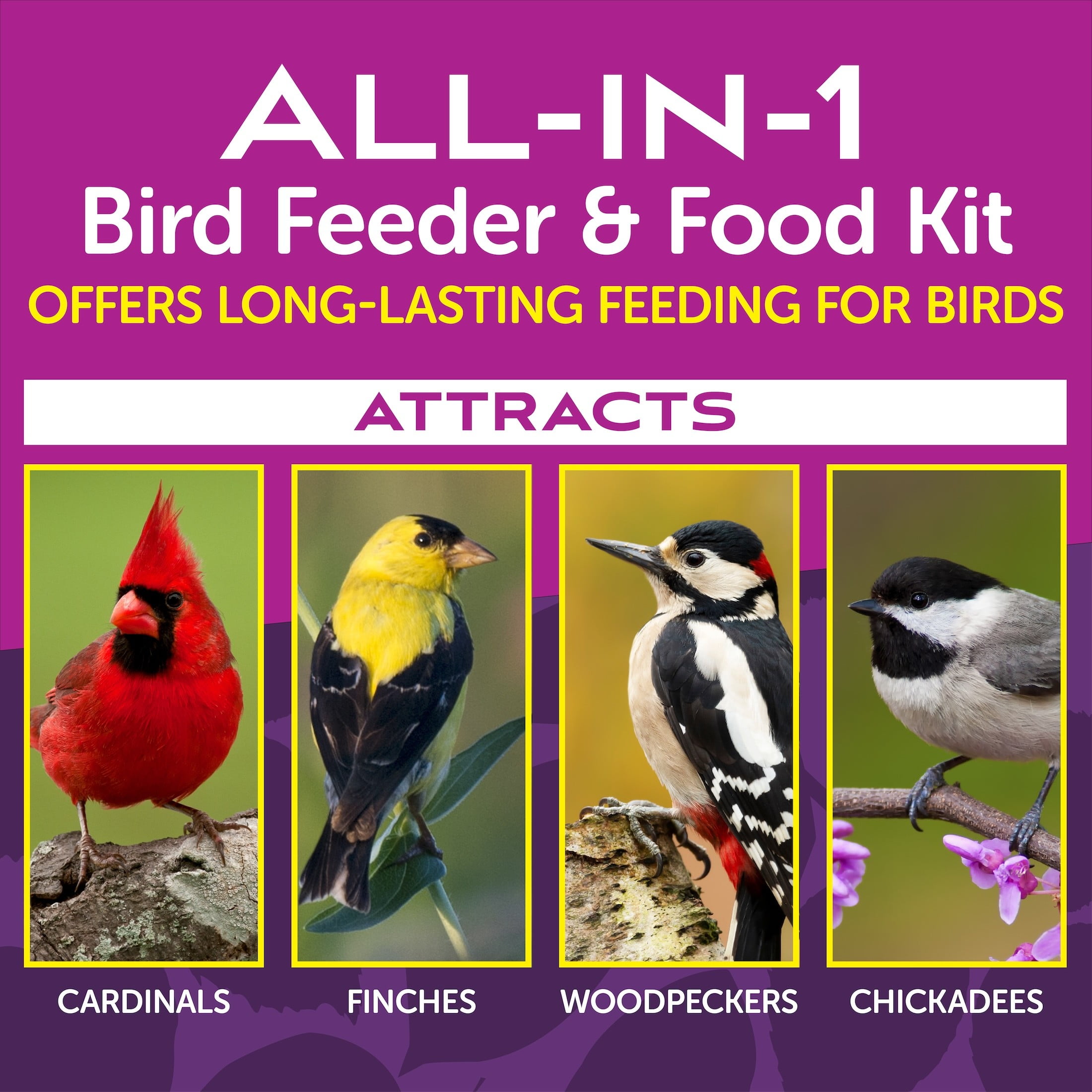 Pennington Cedar Grand Chalet 14 lb Capacity Bird Feeder / 2.5lb Bird Seed All In One Kit 1 Each