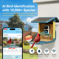 thumbnail image 3 of Nafnti 2K HD Smart Bird Feeder with Camera, 10000+ AI Bird Identification & Instant Alerts, Solar Bird Camera for 2.4GHz Wi-Fi, Weatherproof, Gift for Bird Watchers, Blue, 3 of 13