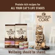 Wellness CORE Tiny Tasters Pate Variety Pack Adult Wet Cat Food, Natural, Protein Rich, Grain Free, Land Recipes, 1.75 oz, Pack of 12 Pouches
