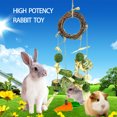 thumbnail image 4 of CHBORLESS Hamster Rabbits Cage Hanging Chew Toys Rattan Ring with Snacks (Set1), 4 of 7