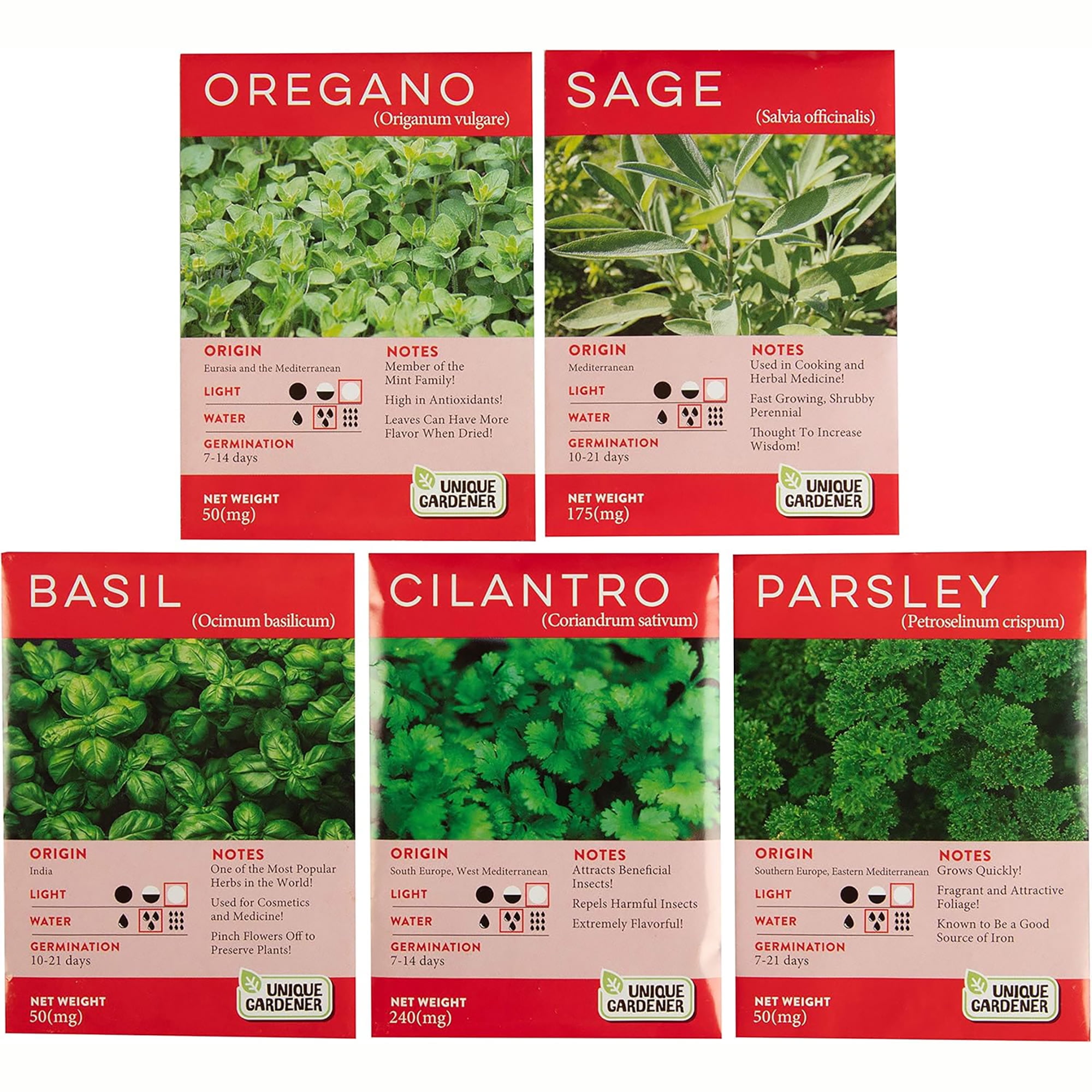 Unique Gardener: Culinary Herb Collection - DIY Biosphere Terrarium Starter Kit, Grow 5 Different Delicious Herb Plants, Kitchen Window Indoor Garden