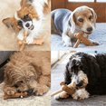 thumbnail image 3 of Hold-a-Chew Bully Stick Holder - 3 Sizes - by Chew Works, 3 of 7
