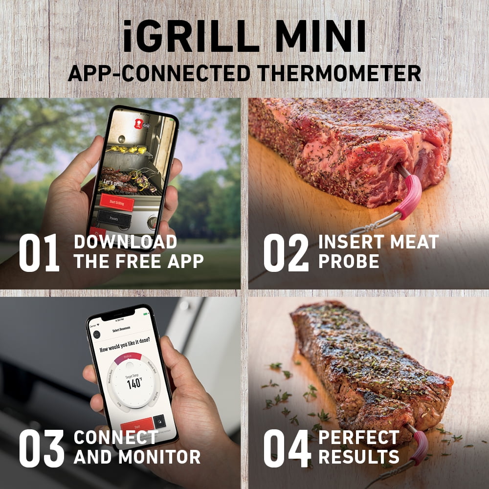 Weber iGrill Mini App-Connected Thermometer (WEB-7202)