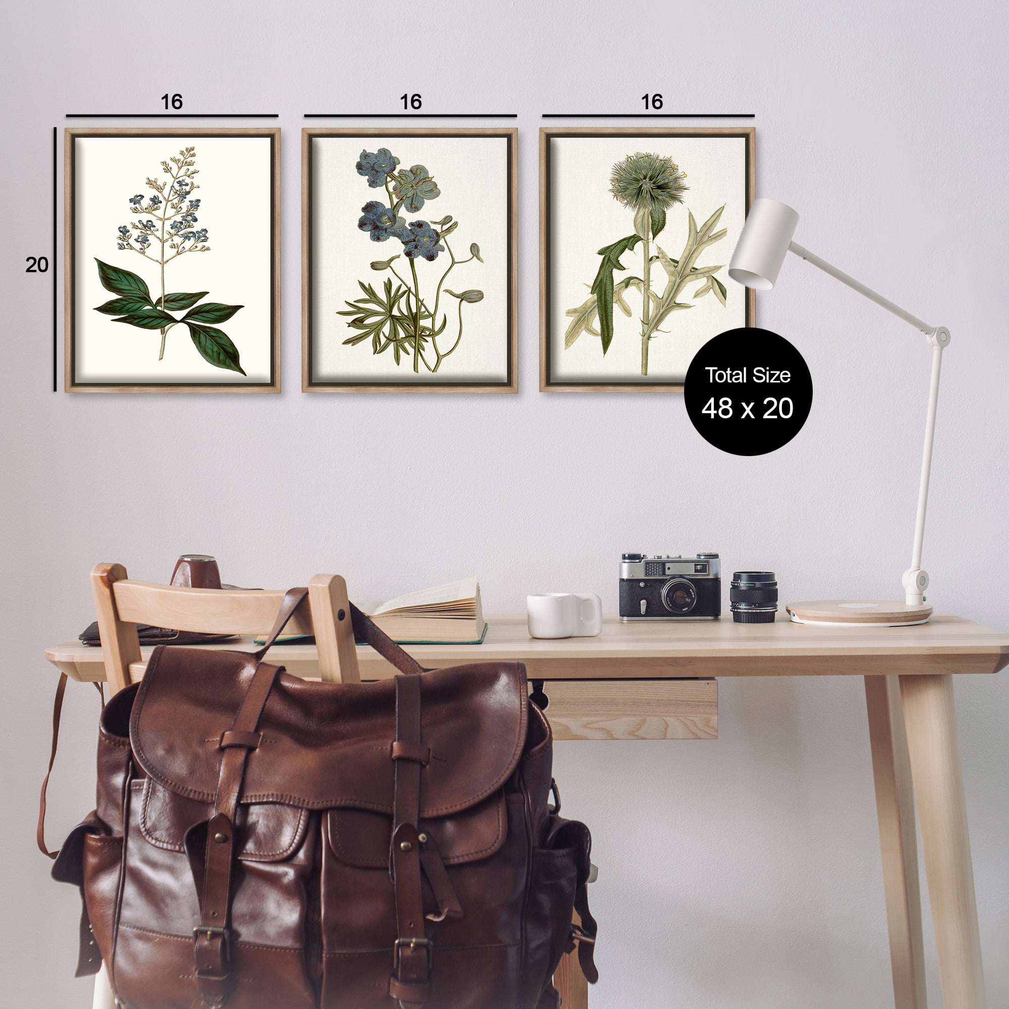 Stupell Industries Vintage Botanical Flowers on Beige Botanical & Floral Painting Brown Floater Framed Canvas Art Print Wall Art, 17 x 21, Set of 3