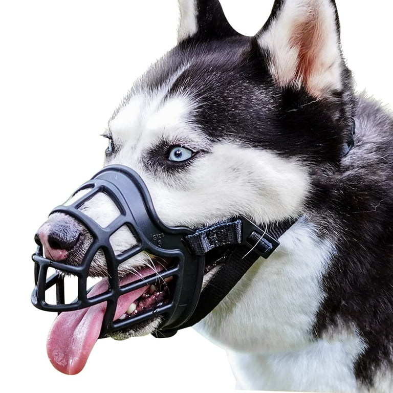 Muzzle that 2025 allows panting