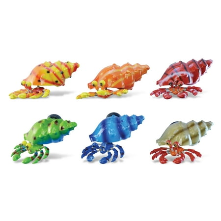 

CoTa Global Hermit Crab Refrigerator Bobble Magnets Set of 6 - Assorted Color Fun Cute Sea Life Animal Bobble Head Magnets For Kitchen Fridge Home Decor Cool Office and Decorative Novelty - 6 Pack