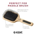 thumbnail image 4 of Kent PF18 Medium Cushion Paddle Brush - Detangling for Fine, Long, Thick and Curly Hair, Scalp Massager and Growth Stimulator, Wet or Dry Use. Made in England, 4 of 6