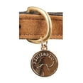 thumbnail image 2 of Benji & Flo Noble Suede Dog Collar, 2 of 2