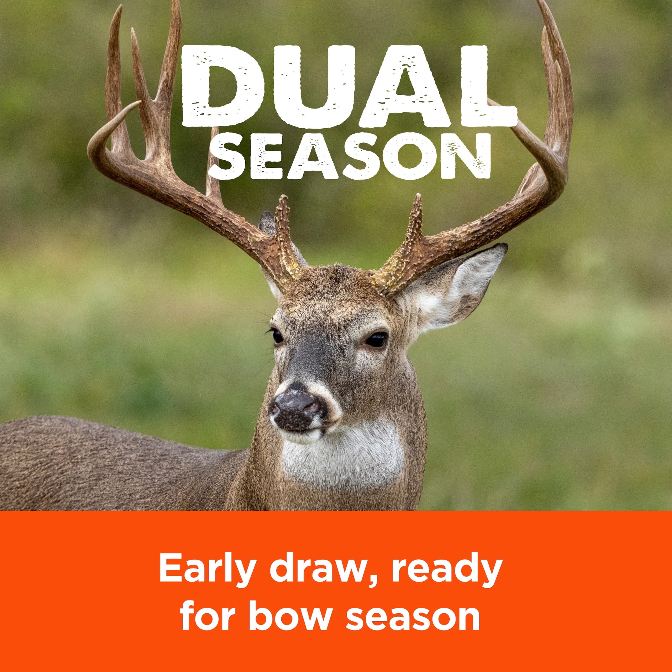 Pennington Rackmaster Dual Season Wildlife Food Plot Mix, Deer Food Plot Seed, 10 Pounds