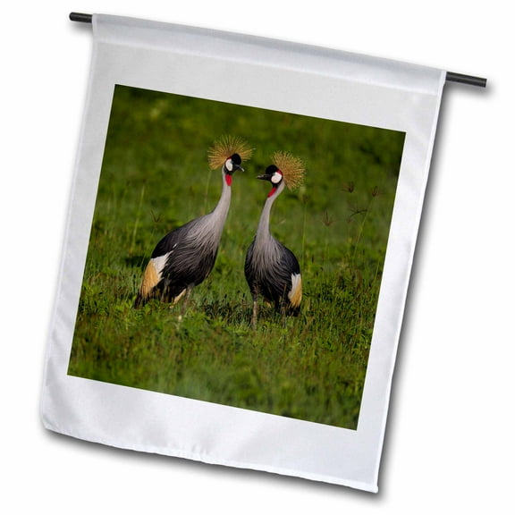 3dRose, Africa. Tanzania. Grey crowned cranes at Ngorongoro crater., 12 x 18 inch Garden Flag