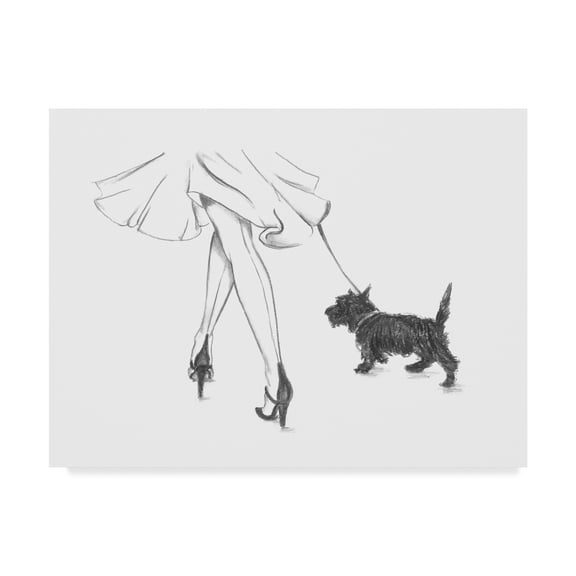 Trademark Fine Art 'Perfect Companion IV' Canvas Art by Ethan Harper