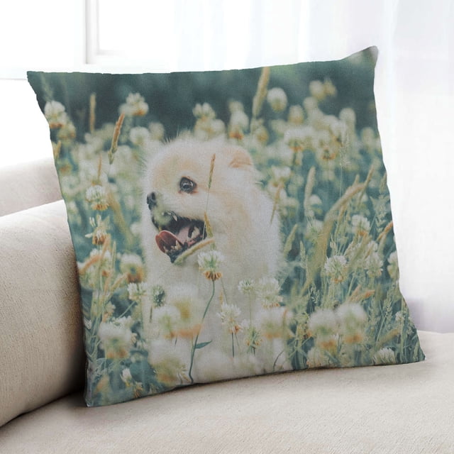 Ahgly Company Dogs Pomeranian Coussin Intérieur, 18 Pouces par 18 Pouces