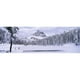 Arbres le Long d'Un Lac Gelé Lac Antorno Tre Cime Di Lavaredo Dolomites Cadore Province de Belluno Venezo Italie Affiche Imprimée par - 36 x 12 – image 1 sur 1