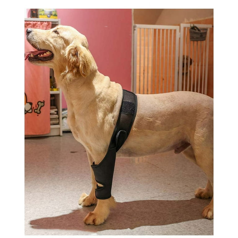 Dog Knee Brace for Torn ACL Hind Leg, Rear Leg Cruciate Ligament