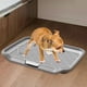 thumbnail image 1 of Inodoro para perros, bandeja de entrenamiento de malla para inodoro, orinal para mantener las patas y el suelo, rejillas limpias, inodoro para perros Gris, 1 of 10