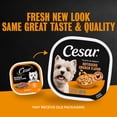thumbnail image 4 of Cesar Filets in Gravy Wet Dog Food, Rotisserie Chicken Flavor, 3.5 oz. Trays, Pack of 24, 4 of 15