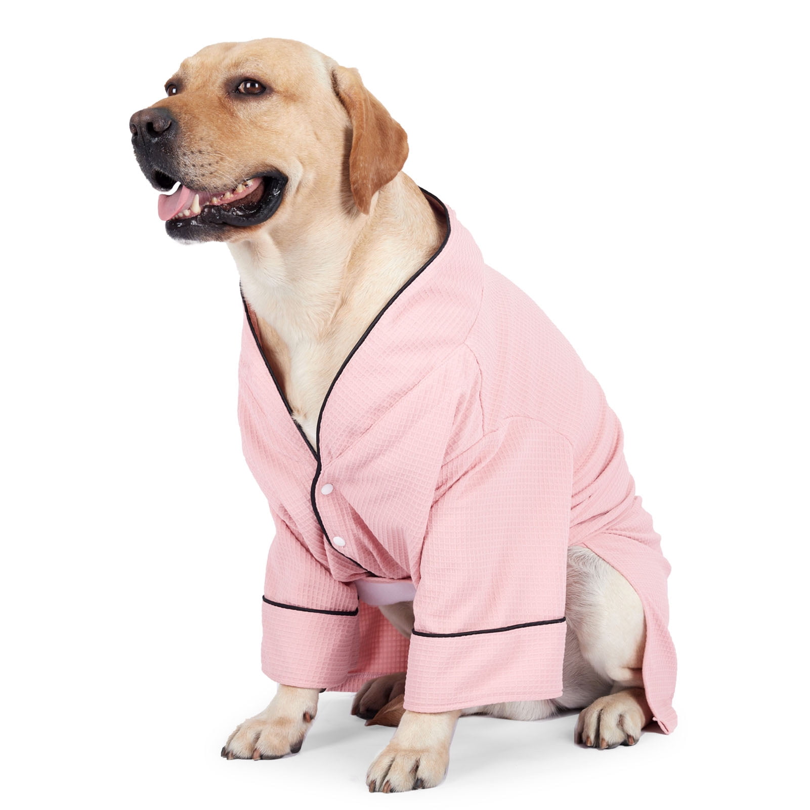 Dog in robe hotsell