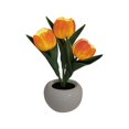 thumbnail image 1 of Artificial Flower Potted Plant Led Tulip Night Light Girl Table Lamp Simulation Bouquet_The Ultimate Gift, 1 of 5