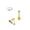Gold, variant on Threadless Push-In Labret 16G Surgical Steel with Press Fit CZ Gem