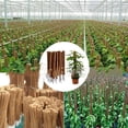 thumbnail image 3 of Flmtop Plant Support Pole Stackable Durable Wooden Coir Moss Totem Pole for Indoor Plant, 3 of 9