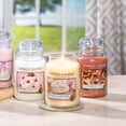 thumbnail image 7 of Yankee Candle Jar Small Cinnamon Stick 3.7 oz., 7 of 7