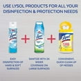 thumbnail image 6 of Lysol 19 oz. Crisp Linen Disinfectant Spray (12-Pack), 6 of 9