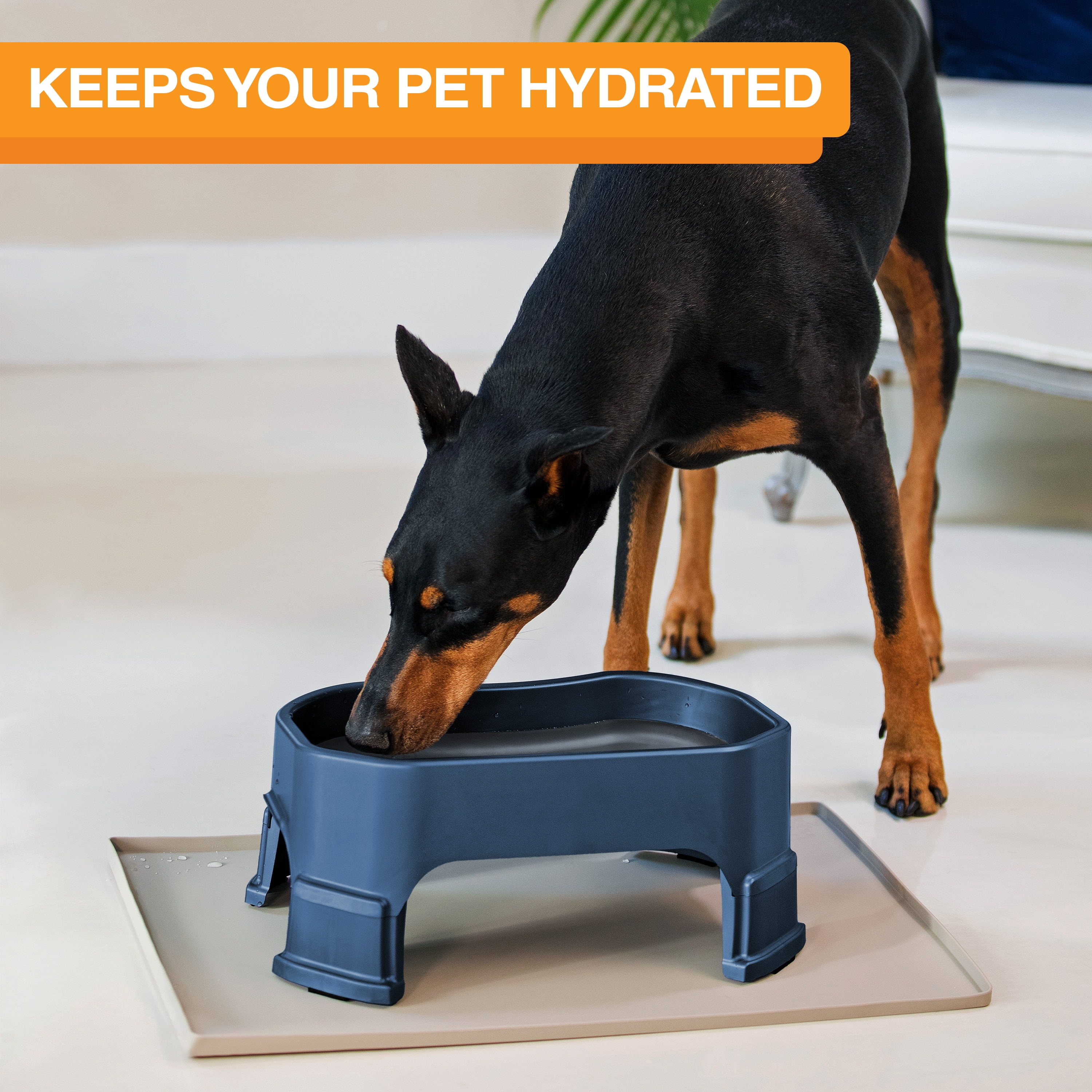 Neater Pets Big Bowl with Leg Extensions for Dogs - Raised for Feeding Comfort - Extra Large Plastic Trough Style Food or Water Bowl for Use Indoors or Outdoors, Dark Blue, 1.25 Gallon (160 Oz.)