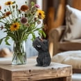 thumbnail image 7 of Bear Mom Holding Baby Figurine – Resin Wildlife Sculpture for Cabin, Lodge or Rustic Home Decor – Adorable Mother & Cub Bear Statue for Shelf, Mantel, Tabletop – Gift for Animal Lovers & Mother’s Day, 7 of 7