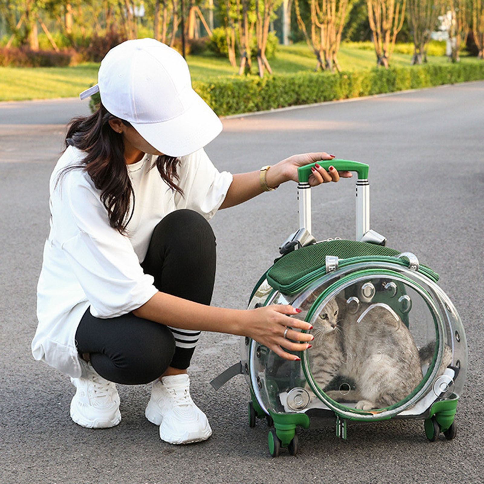 Thehsnt Pet Travel Carrier with Ventilation - Quiet Wheeled Backpack for Cats & Dogs