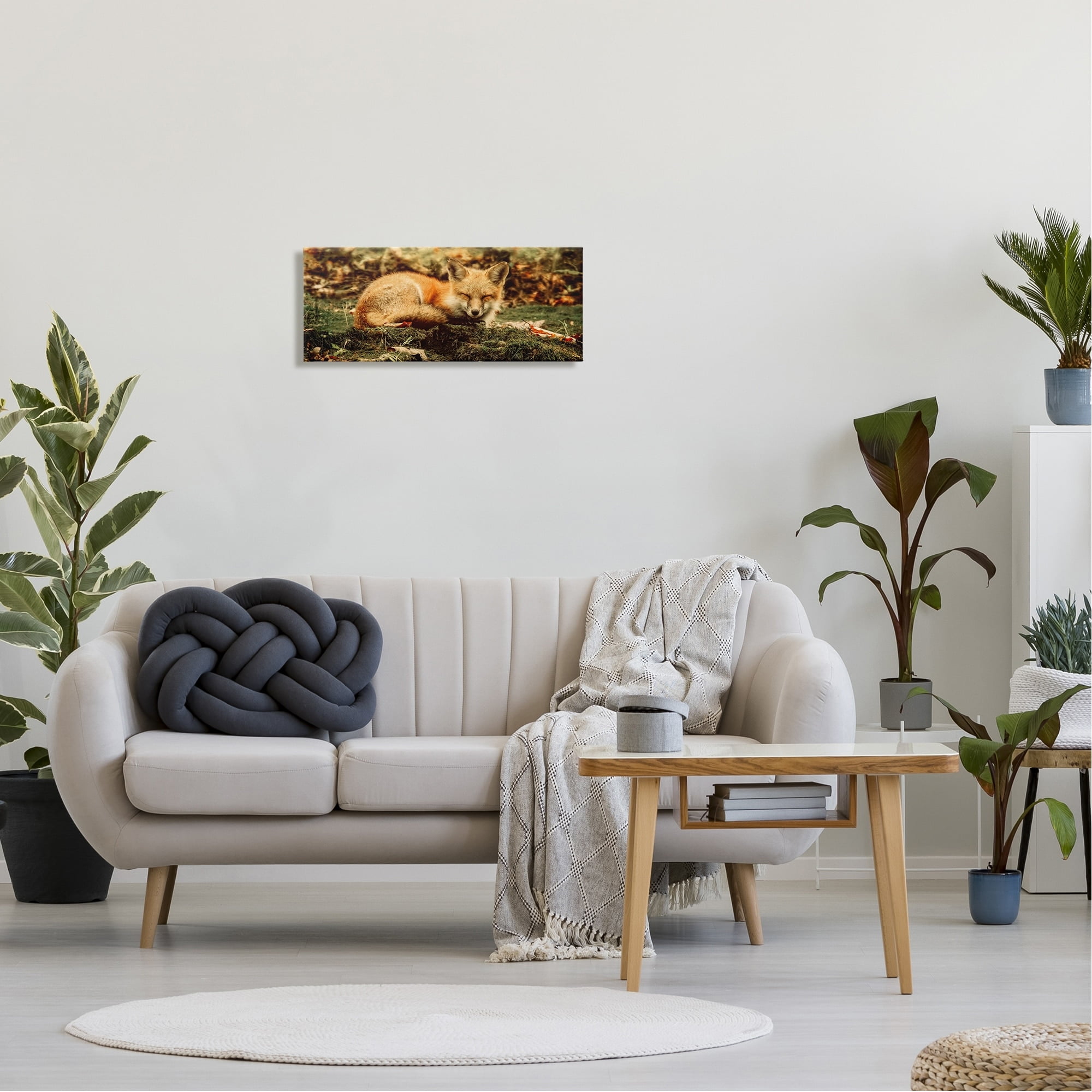 Stupell Industries Sleeping Fox Kit Peaceful Forest Floor Lush Nature Photograph Gallery Wrapped Canvas Print Wall Art, Design by Carrie Ann Grippo-Pike