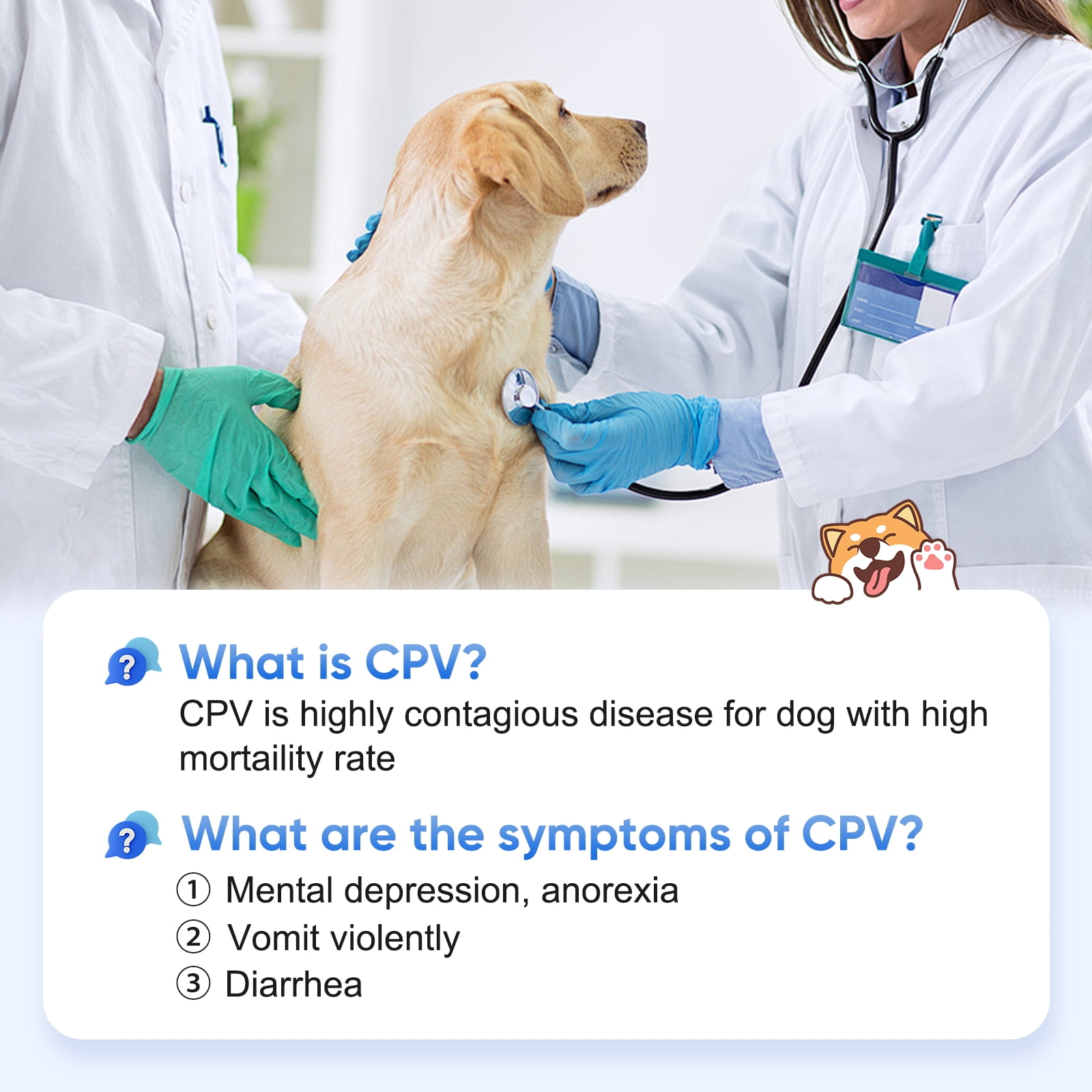 Rapid 5-Piece Health C PV Test Kit for Dogs - Accurate & Quick Home Detection in Feces/Vomit in 5-10 Minutes! Easy to Use Non-Invasive Early Diagnosis Tool Suitable for All Breeds & Ages