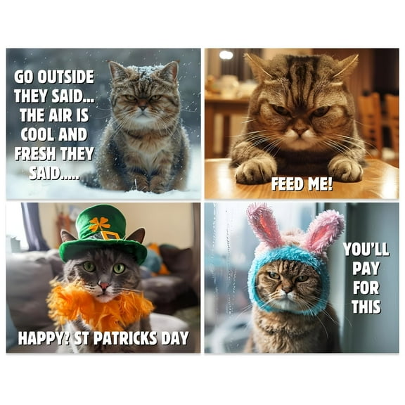 CCOCC 2025 Peed Off Cats Calendar Funny Cat Themed Gifts for Cat Lovers. 2025 Angry Cat Calendar Personalized Creative Calendar Angry Cat