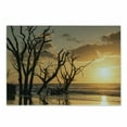 thumbnail image 1 of Driftwood Cutting Board, Sea Theme Sunrise at the Beach Trees Without Leaves and Cloudy Sky Digital Image, Decorative Tempered Glass Cutting and Serving Board, Small Size, Orange, by Ambesonne, 1 of 1