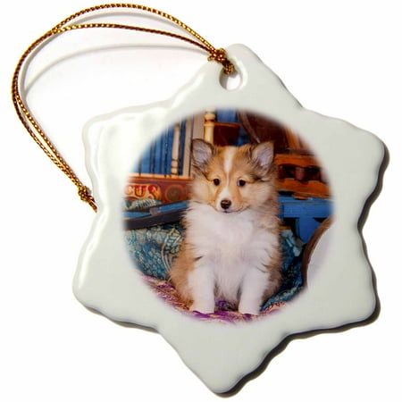 Gold Shetland Sheepdog - 3dRose Shetland Sheepdog puppy sitting by small wooden wagon, MR, - Snowflake Ornament, 3-inch