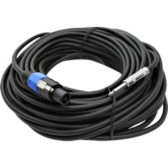 Seismic Audio New  100' Foot Speakon to 1/4" PA DJ SPEAKER CABLE Black - SASPT14-100