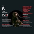 thumbnail image 3 of Pure Balance Pro+ Sensitive Skin & Stomach Dog Food, Salmon & Rice Recipe, 8 lb Bag, 3 of 10